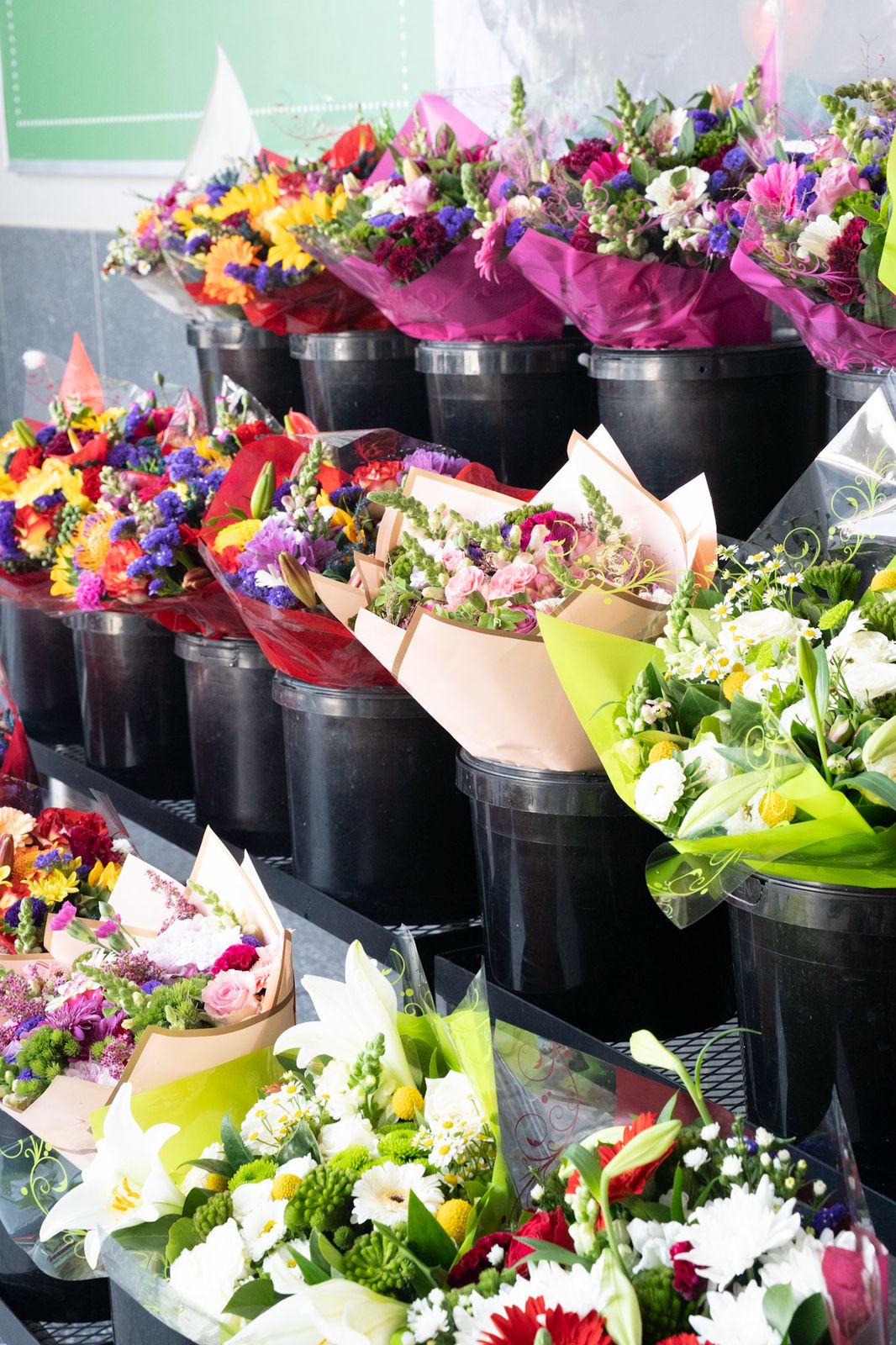 Chocolates Collection